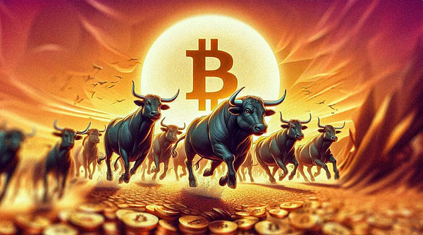 美国政府手里的比特币：一场意外造就的加密帝国