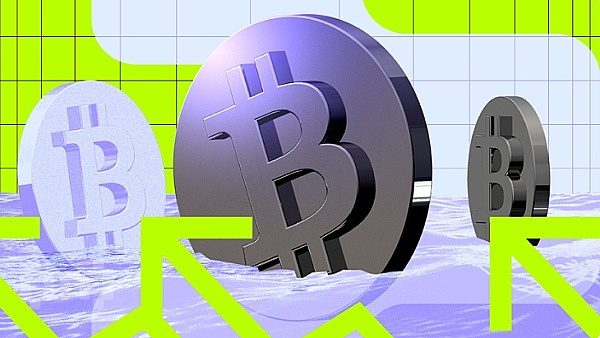 当狗狗币遇上减半行情：市场狂欢还是泡沫前兆？