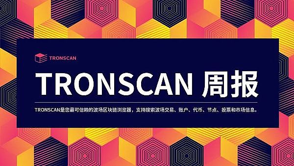 比特币扩容之路：技术革新还是概念泡沫？
