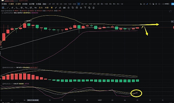 当比特币遇上NFT：网络交易费暴增背后的疯狂