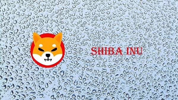 为什么在A股赚钱比登天还难？老股民的肺腑之言